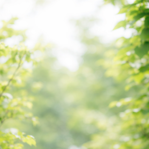 4a8abbca 8e1f 412a 9884 511e9c272f60